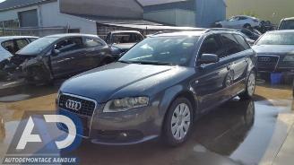 Sloopauto Audi A4 A4 Avant Quattro (B7), Combi, 2004 / 2008 3.0 TDI V6 24V 2008
