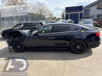 Audi A5 A5 Sportback (8TA), Liftback, 2009 / 2017 2.0 TFSI 16V Quattro picture 8