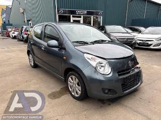 Suzuki Alto Alto, Hatchback 5-drs, 2009 1.0 12V picture 3