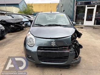 Suzuki Alto Alto, Hatchback 5-drs, 2009 1.0 12V picture 2