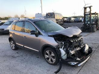 Renault Scenic 1.5 DCI picture 3