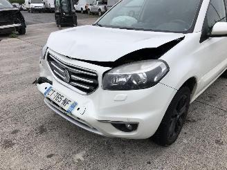 Renault Koleos 2.0 DCI  BOSE picture 7