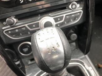 Renault Koleos 2.0 DCI  BOSE picture 12