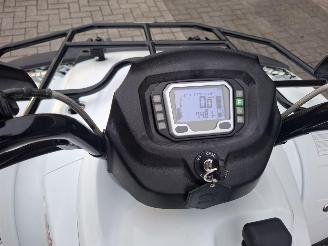 CFMoto  tgb blade 325 picture 4