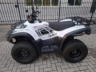  CFMoto  tgb blade 325 2017/1