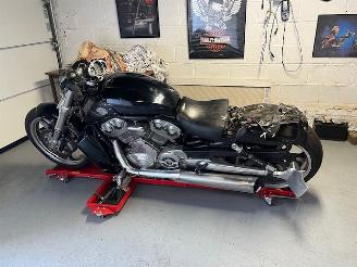 Harley-Davidson V-Rod V rod muscle picture 2
