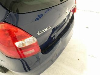 Skoda Fabia II ACTIVE picture 7