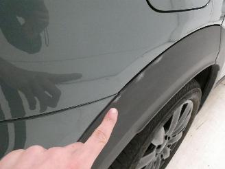 Mini Cooper COOPER COUNTRYM picture 11