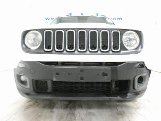 Jeep Renegade LONGITUDE picture 10