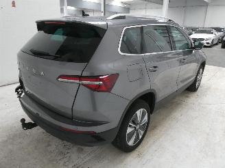 Skoda Karoq STYLE picture 11