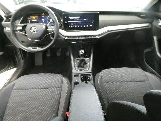 Skoda Octavia AMBITION picture 18
