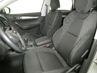 Skoda Karoq AMBITION picture 13