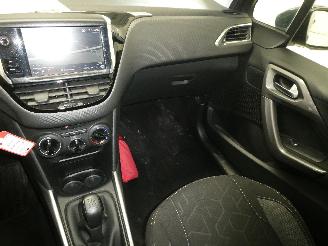 Peugeot 2008 ACTIVE picture 13