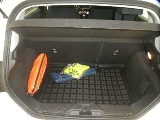 Ford Fiesta  picture 14