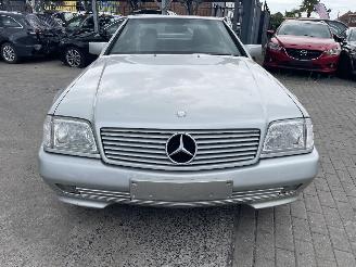 Mercedes SL V8 picture 3