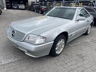Mercedes SL V8 picture 4