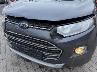 Ford EcoSport 1.0 picture 16