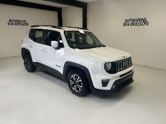 Unfallwagen Jeep Renegade  2019/9
