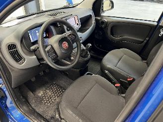 Fiat Panda  picture 9