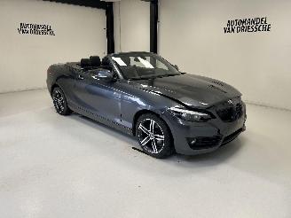 uszkodzony samochody osobowe BMW 2-serie SPORTLINE AUTOMAAT 2019/3