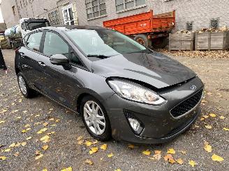 Ford Fiesta BUSINESS picture 2