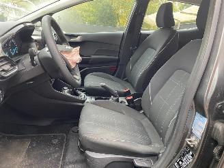 Ford Fiesta BUSINESS picture 19