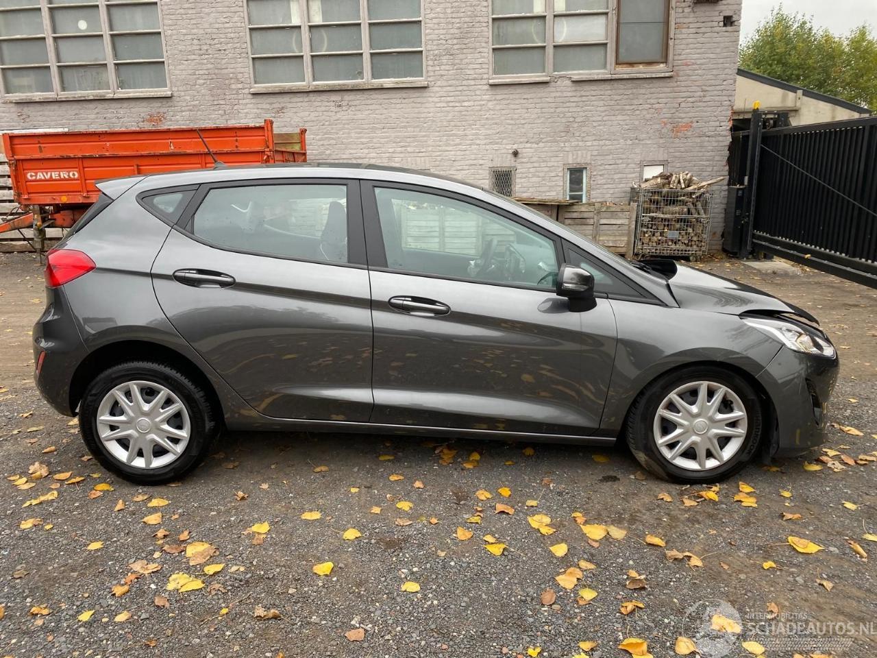 Ford Fiesta BUSINESS