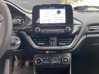 Ford Fiesta BUSINESS picture 28