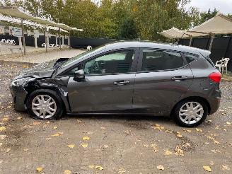 Ford Fiesta BUSINESS picture 11