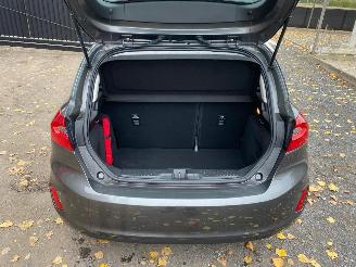 Ford Fiesta BUSINESS picture 15