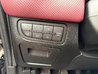 Fiat Punto EVO picture 30