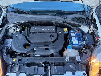 Fiat Punto Evo  picture 5