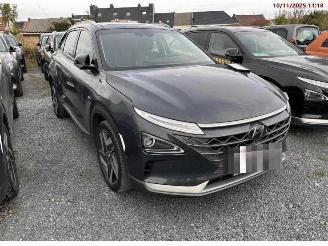 Avarii autoturisme Hyundai Nexo  2020/12