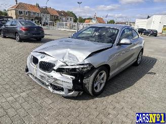 Auto incidentate BMW 2-serie  2018/6