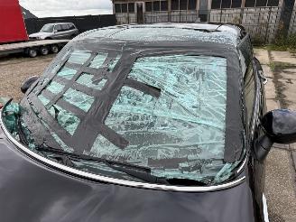 Mini Countryman Cooper S E ALL4 Chili picture 10