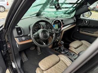 Mini Countryman Cooper S E ALL4 Chili picture 19