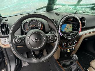 Mini Countryman Cooper S E ALL4 Chili picture 20