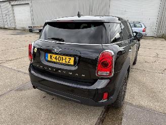 Mini Countryman Cooper S E ALL4 Chili picture 6