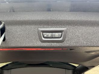 Mini Countryman Cooper S E ALL4 Chili picture 5