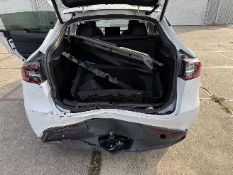 Tesla Model Y Long Range RWD 75kWh picture 11
