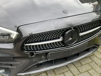 Mercedes E-klasse 300 de AMG LINE WIDESCREEN NIGHT LED picture 13