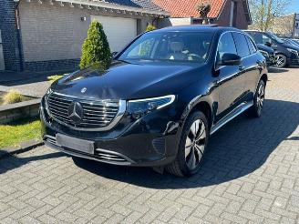 Avarii autoturisme Mercedes EQC 400 4MATIC NAVI CAMERA LEDER LED 2021/3