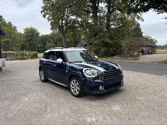 Mini Countryman Countryman COOPER 1.5 EDITION NAVI CLIMA CAMERA LED KEYLESS B.J 2019 picture 3