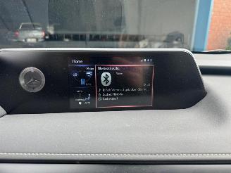 Lexus UX  picture 24