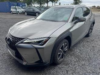 Auto incidentate Lexus UX  2022/9