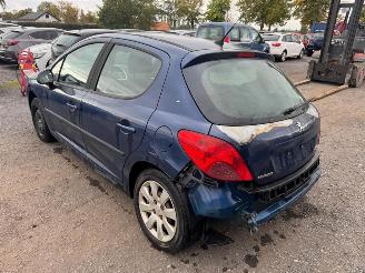 Peugeot 207  picture 7