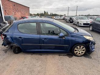 Peugeot 207  picture 4