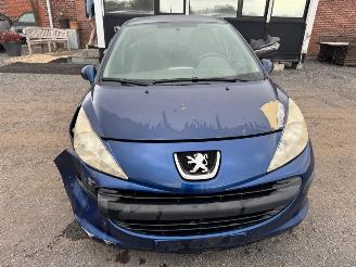 Peugeot 207  picture 2