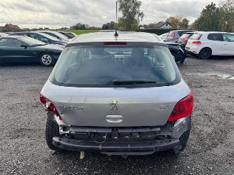 Peugeot 307  picture 6