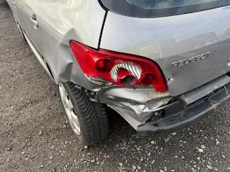 Peugeot 307  picture 15